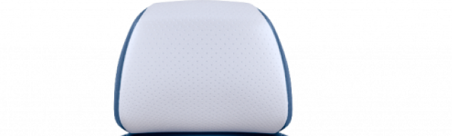 back